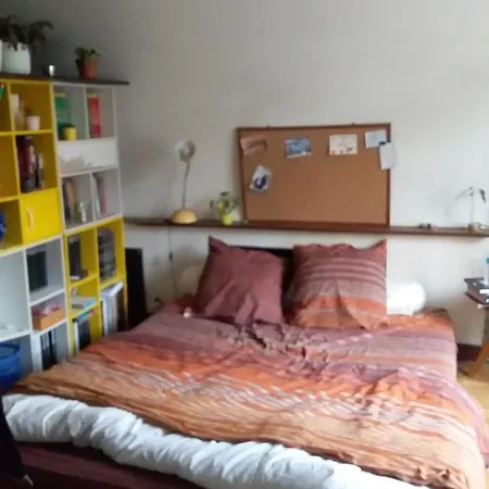 Apartment Flat & Garden A